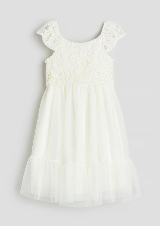 Lace and Tulle Dress