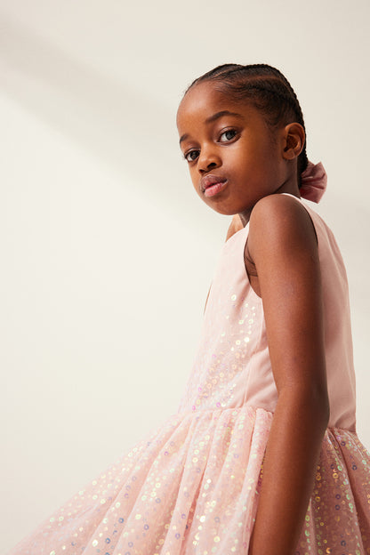 Sequined Tulle Dress