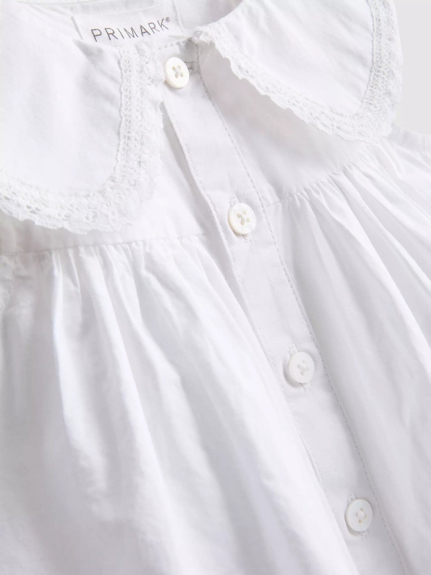 Collared Sleeveless Blouse and Trousers Set