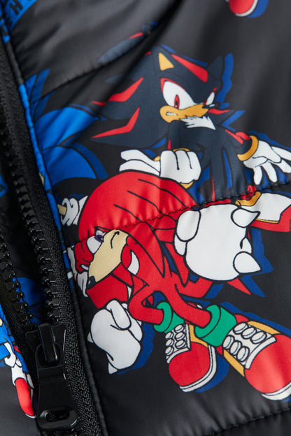 Sonic Gilet